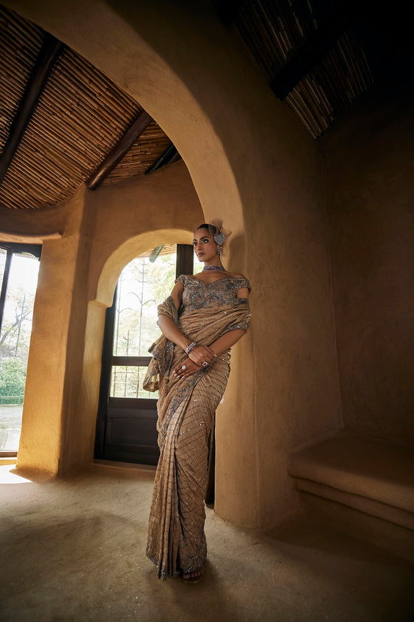 Mouse grey silk tissue sari with blouse
